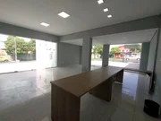 <strong></strong> ()