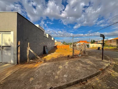 <strong></strong> ()