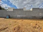 <strong></strong> ()