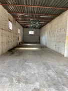 <strong></strong> ()