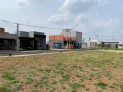 <strong></strong> ()