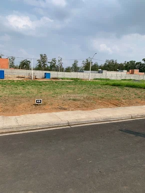 <strong></strong> ()