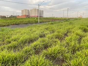 <strong></strong> ()