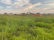 <strong></strong> ()