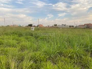 <strong></strong> ()