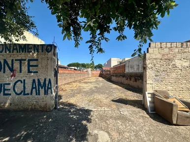 <strong></strong> ()