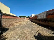 <strong></strong> ()