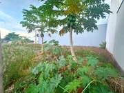 <strong></strong> ()