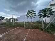 <strong></strong> ()