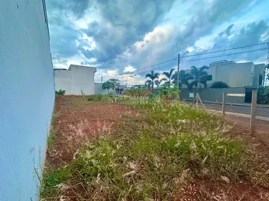 <strong></strong> ()