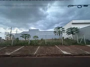 <strong></strong> ()