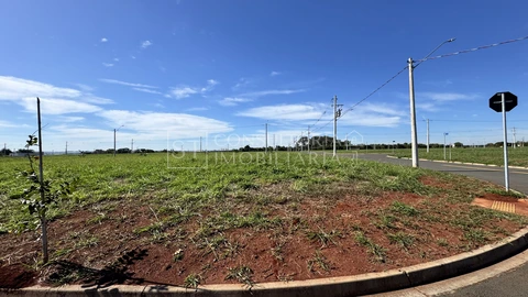 Foto Terreno
