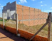 <strong></strong> ()