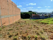 <strong></strong> ()