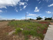 <strong></strong> ()