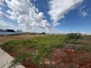 <strong></strong> ()