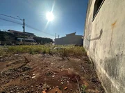 <strong></strong> ()