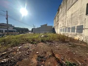 <strong></strong> ()