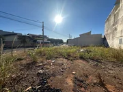 <strong></strong> ()