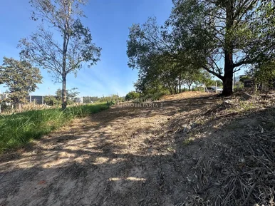 <strong></strong> ()