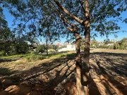 <strong></strong> ()