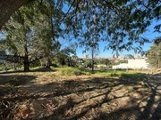 <strong></strong> ()