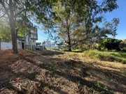 <strong></strong> ()