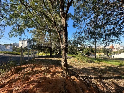 Foto Terreno
