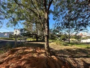 <strong></strong> ()