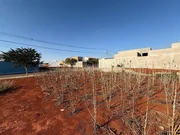 <strong>Terreno à venda em Santa Bárbara D'oeste-SP, bairro Reserva </strong>