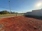 <strong></strong> ()