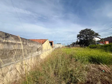 <strong>Terreno Urbano</strong> ()
