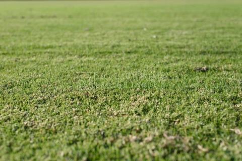 Foto Terreno