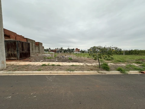 Foto Terreno