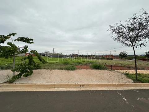 Foto Terreno