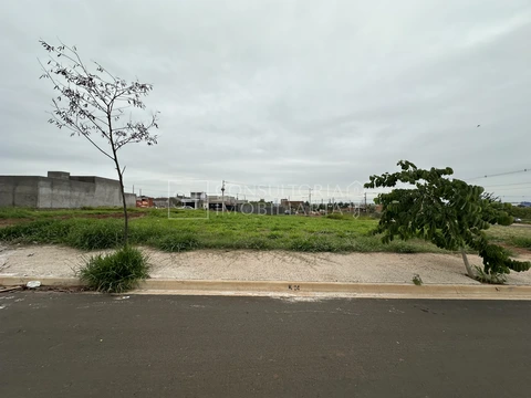 Foto Terreno