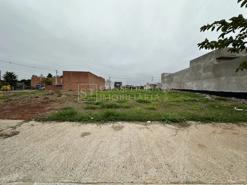 Foto Terreno