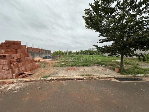 Foto Terreno