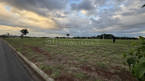 Foto Terreno