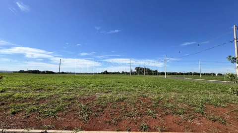 Foto Terreno
