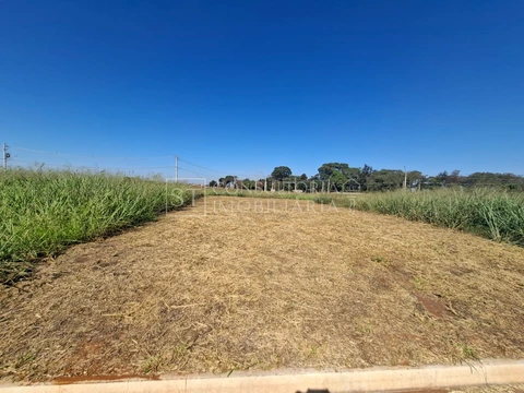 Foto Terreno