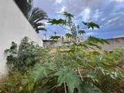 Terreno Jardim Terramerica - Foto 5