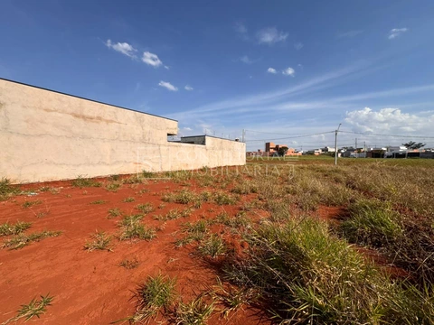 Foto Terreno