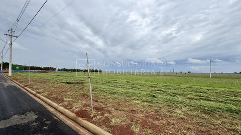 Foto Terreno