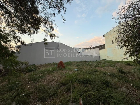 Foto Terreno