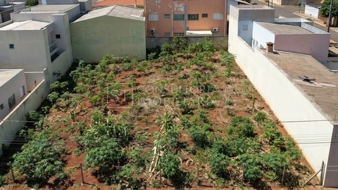 Foto Terreno