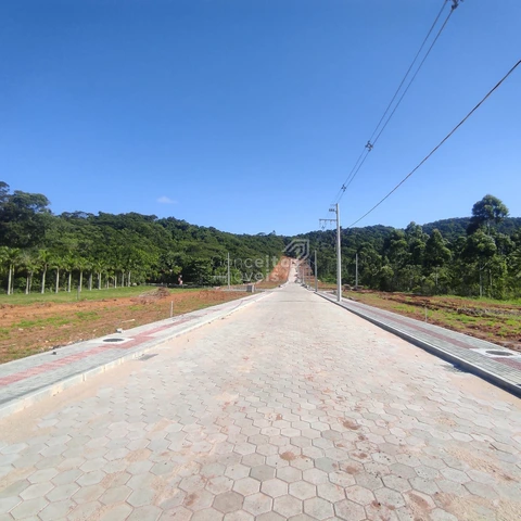 Foto Terreno