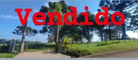 Foto Rural