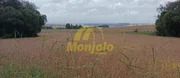 <strong>VENDE ÁREA RURAL NA PR 151 EM FRENTE AO COLÉGIO AG</strong>