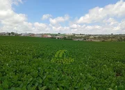 <strong>TERRENO COM FRENTE PARA A PR 151.</strong>